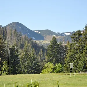 https://u-blizniakow.zakopanehotels.org