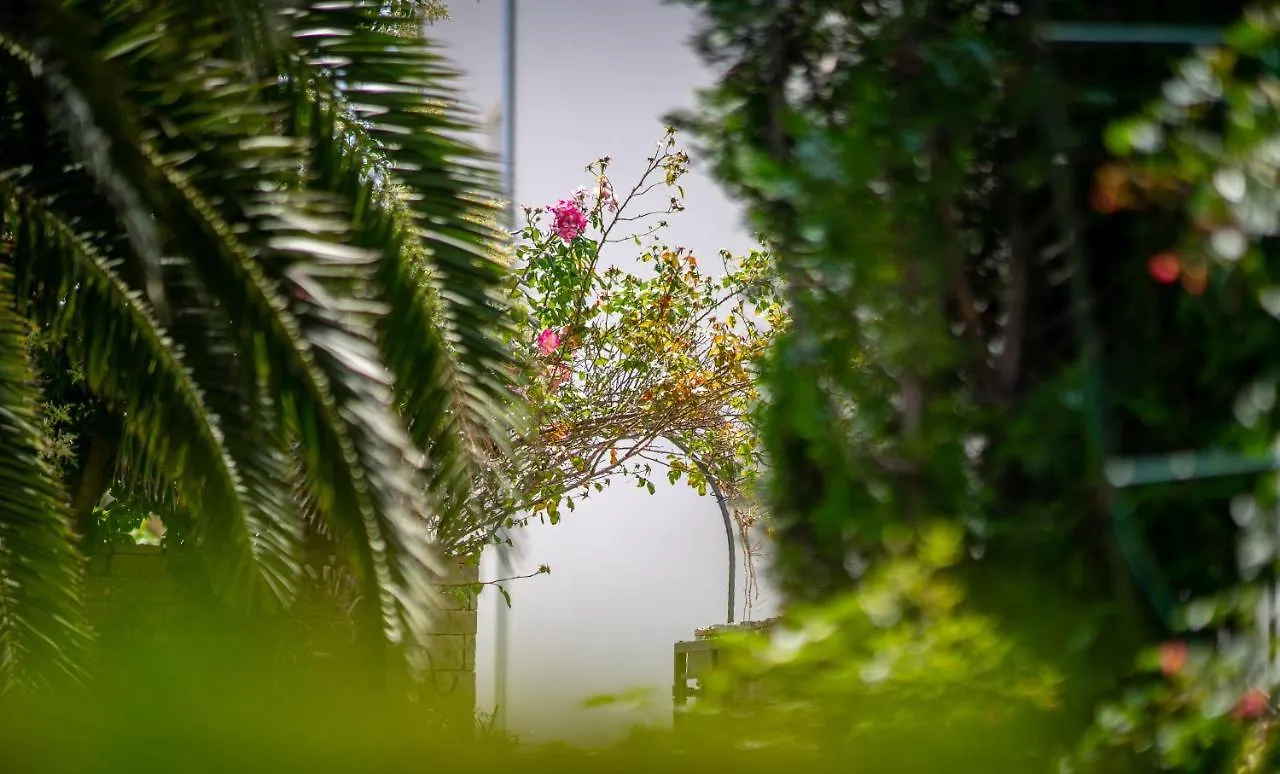 Apartments Villa Rudi Bibinje