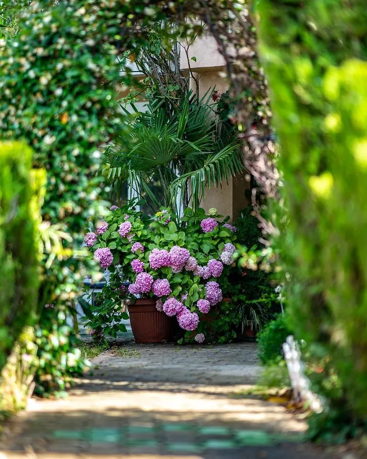 Apartments Villa Rudi Bibinje